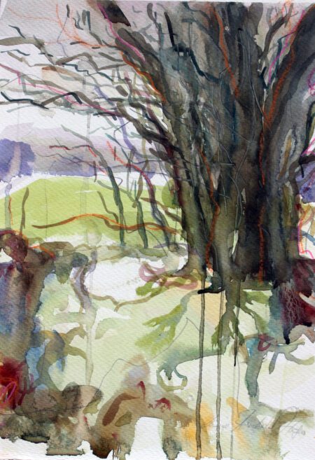 'Cornish Tree'
