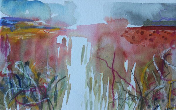 'Poppies in the sky'